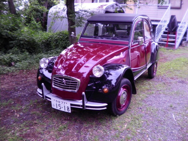 2cv